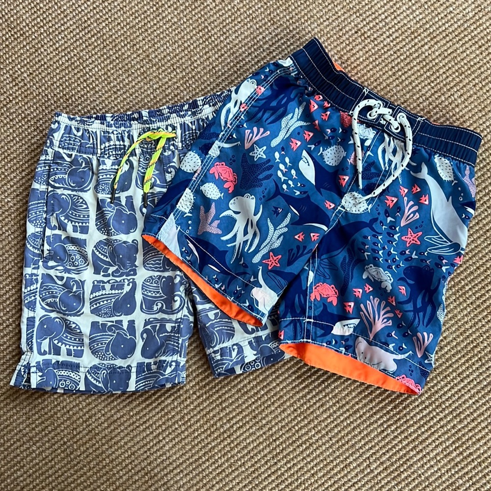 2 Boys Swimsuits (Gap 4yrs & Crewcuts 5)